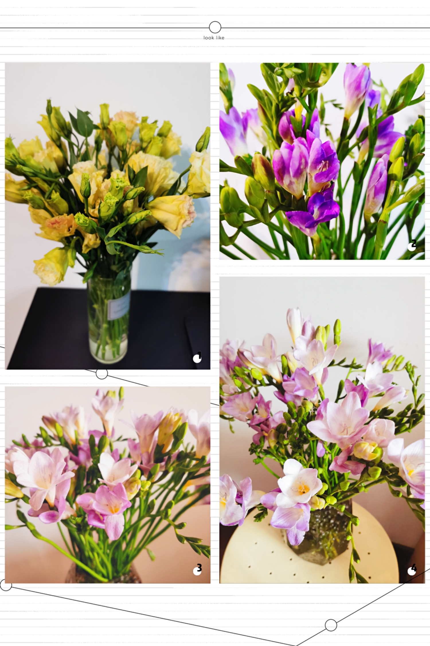 Happy Women’s Day | 戰(zhàn)疫時期，這個三八節(jié)，我們“e”起過！